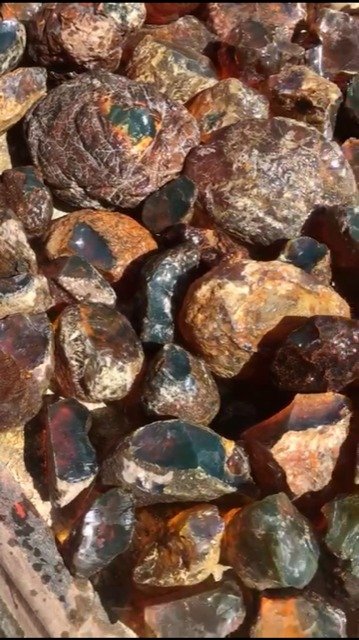100% Natural Dominican Amber Rough Stones