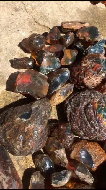 100% Natural Dominican Amber Rough Stones